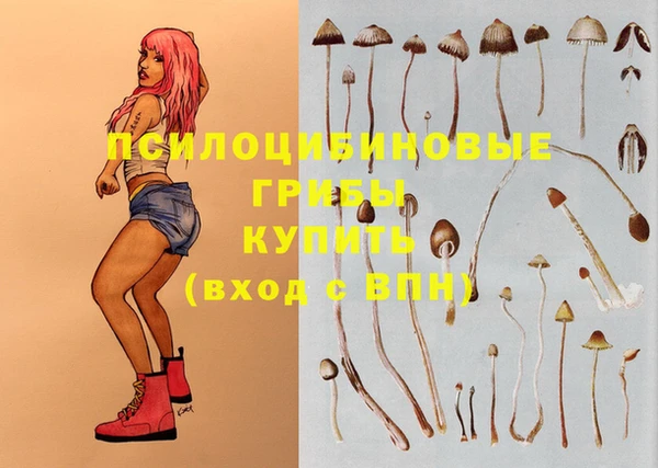 MDMA Premium VHQ Аркадак