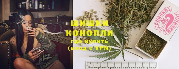 дмт Арсеньев