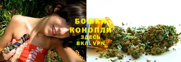 дмт Арсеньев