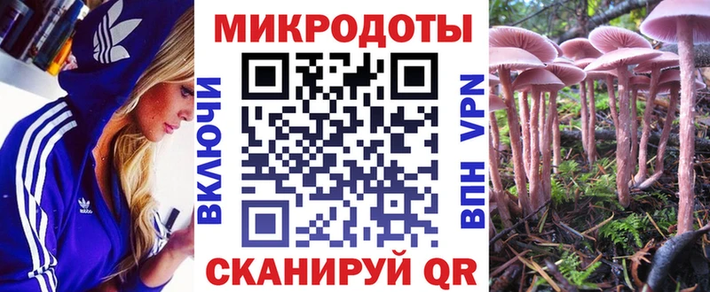 Галлюциногенные грибы GOLDEN TEACHER  купить   Хилок 